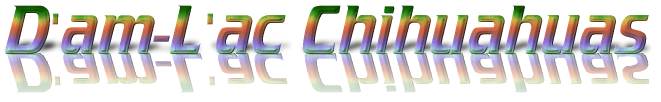 logo-cool.jpg